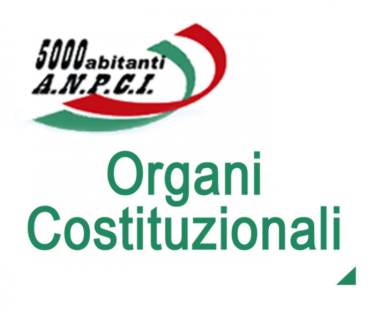 Organi costituzionali